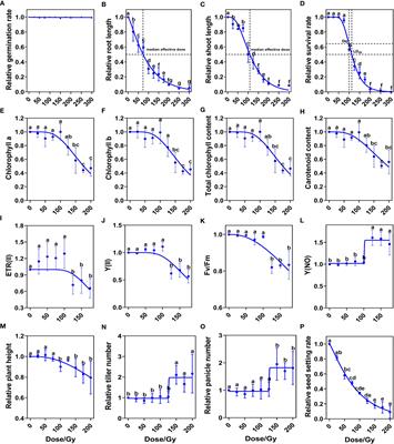 Multi-generation study of heavy ion beam-induced mutations and agronomic trait variations to accelerate rice breeding